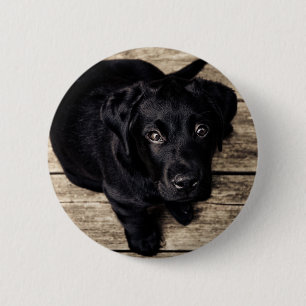 Bóton Redondo 5.08cm Filhote de Labrador Retriever Preto na Madeira