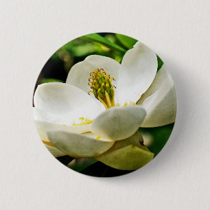 Bóton Redondo 5.08cm Fim da flor da magnólia acima