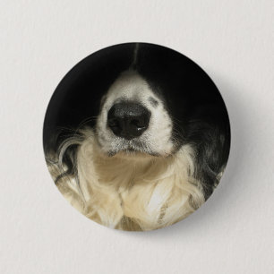 Bóton Redondo 5.08cm Fim do nariz de cão acima