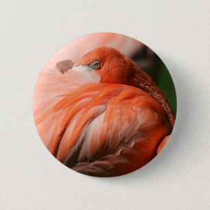 Bóton Redondo 5.08cm Flamingo Button