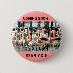 Bóton Redondo 5.08cm Flamingos, vindo logo…, a um gramado perto de