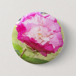 Bóton Redondo 5.08cm flor de hibisco, cor-de-rosa e branca, alterável