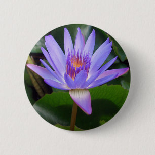 Bóton Redondo 5.08cm Flor de Lotus