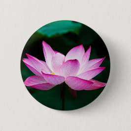Bóton Redondo 5.08cm Flor de Lotus Rosa