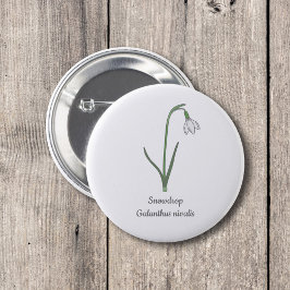 Bóton Redondo 5.08cm Flor de Pastel de Neve Botânica