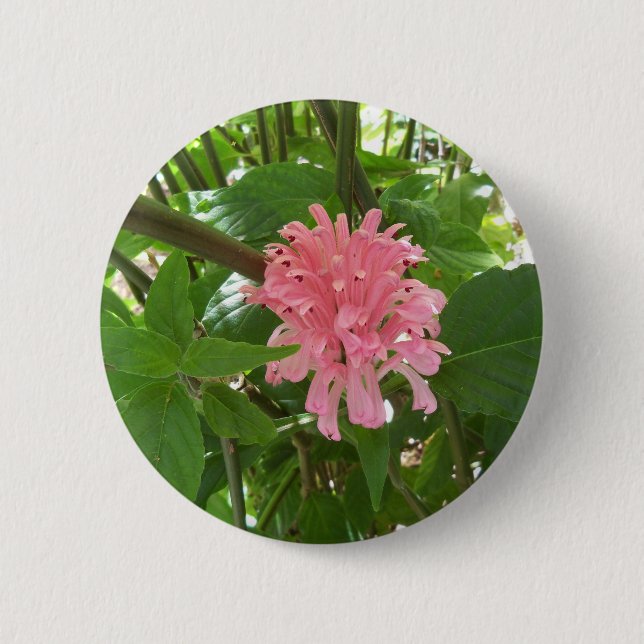 Bóton Redondo 5.08cm flor de pluma brasileira (Frente)