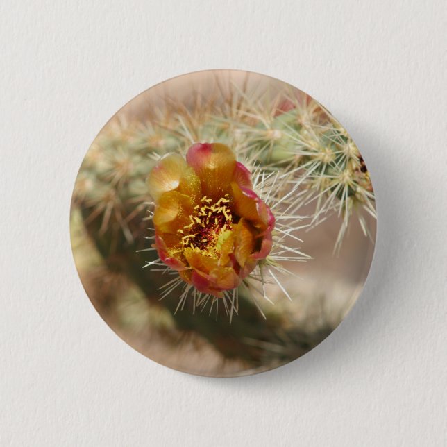 Bóton Redondo 5.08cm Flor do cacto de Cholla (Frente)