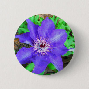 Bóton Redondo 5.08cm Flor do Clematis roxo