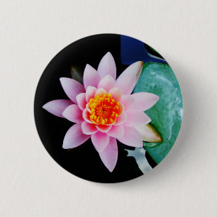 Bóton Redondo 5.08cm Flor lírio de água, rosa quente e lótus laranja
