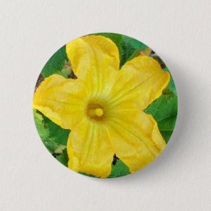 Bóton Redondo 5.08cm Flor Zucchini