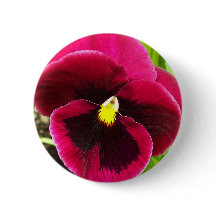 Floral bonito Purple Pansy