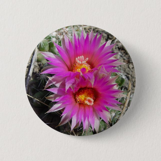 Bóton Redondo 5.08cm Flores de Cactus Bola F5 "Escobaria vivipara" (Frente)