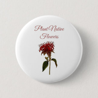Bóton Redondo 5.08cm Flores Nativas da Planta Monarda Botão