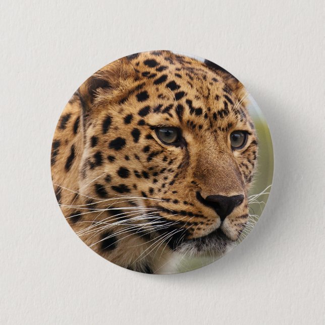 Bóton Redondo 5.08cm Foto de Leopardo (Frente)