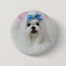 Foto Personalizada de Cachorro | Botão de Cachorro