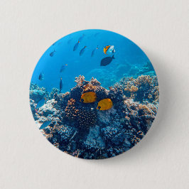 Bóton Redondo 5.08cm Fotografia náutica Animal Marinho Fotografia Peixe