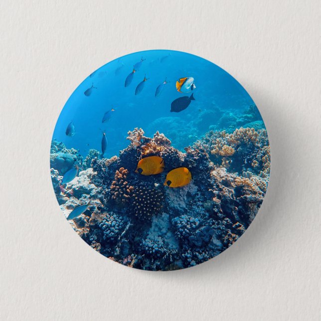 Bóton Redondo 5.08cm Fotografia náutica Animal Marinho Fotografia Peixe (Frente)
