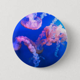 Bóton Redondo 5.08cm Fotografia náutica marinha aquática