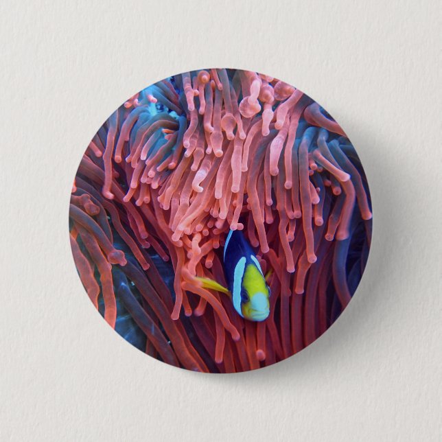 Bóton Redondo 5.08cm Fotografia náutica marinha aquática (Frente)