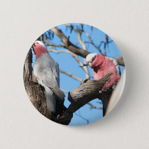 Bóton Redondo 5.08cm Galah