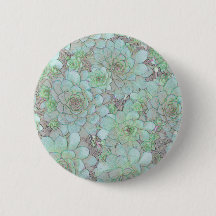 Galinhas E Pintinhos