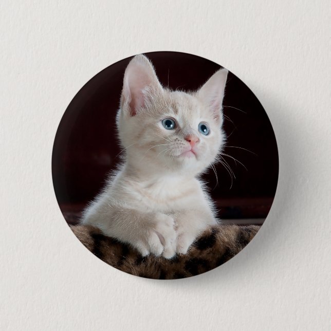 Bóton Redondo 5.08cm Gatinho branco super bonito (Frente)