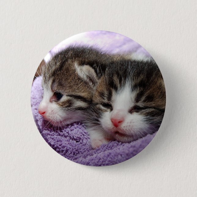 Bóton Redondo 5.08cm Gatinhos com sono (Frente)