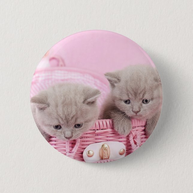 Bóton Redondo 5.08cm Gatinhos de taça britânicos (Frente)