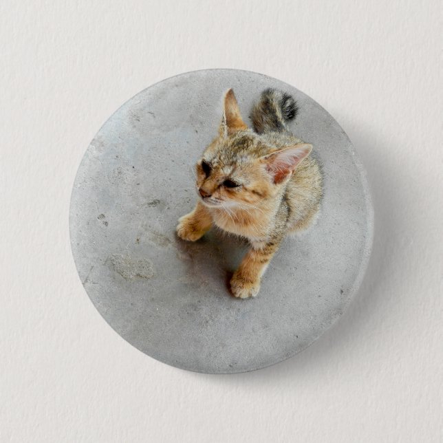 Bóton Redondo 5.08cm Gato de gato selvagem (Frente)
