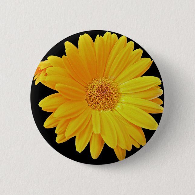 Bóton Redondo 5.08cm Gerbera Daisy (Gerbera hybrida) - Amarelo (Frente)