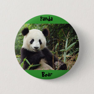 Bóton Redondo 5.08cm gigante-panda-porcelana-grande (1), panda, urso