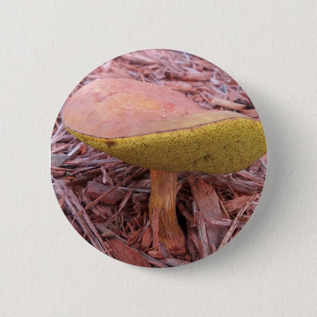 Bóton Redondo 5.08cm Gilled Bolete Mushroom (Frente)