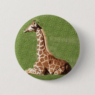 Bóton Redondo 5.08cm Girafa do bebê