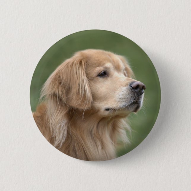 Bóton Redondo 5.08cm Golden retriever no close up (Frente)