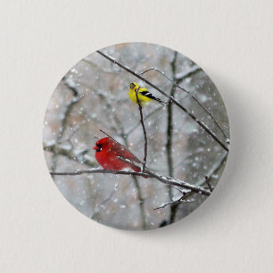 Bóton Redondo 5.08cm Goldfinch e cardeal