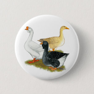 Bóton Redondo 5.08cm Goose Trio