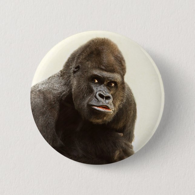 Bóton Redondo 5.08cm Gorilla Pout (Frente)