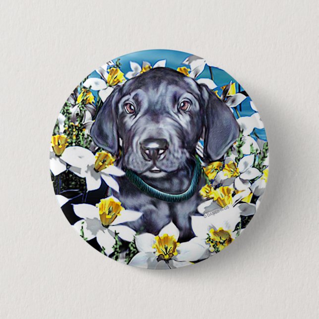 Bóton Redondo 5.08cm Grande Pup de Dane em Azul Daffodils (Frente)