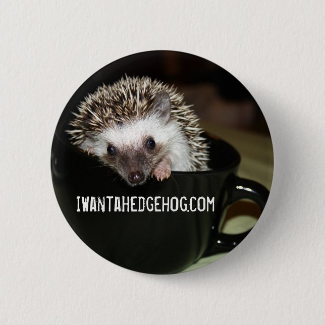 Bóton Redondo 5.08cm Há um ouriço em meu café (Frente)