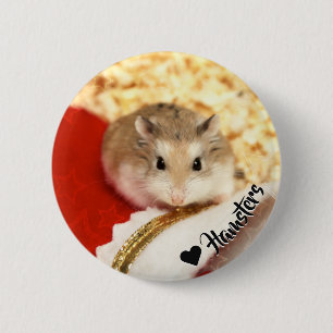 Bóton Redondo 5.08cm Hammyville - Hamster Bonito