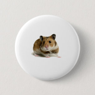 Bóton Redondo 5.08cm Hamster