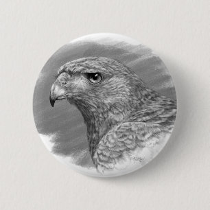 Bóton Redondo 5.08cm Harris Hawk Drawing