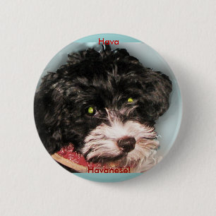 Bóton Redondo 5.08cm Hava Havanese!