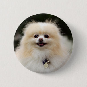 Bóton Redondo 5.08cm Headshot 1 de Pomeranian