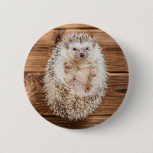 Hedgehog