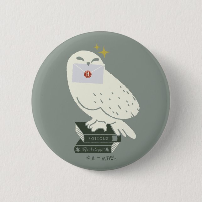 Bóton Redondo 5.08cm Hedwig Com Desenho Caprichoso de Carta (Frente)