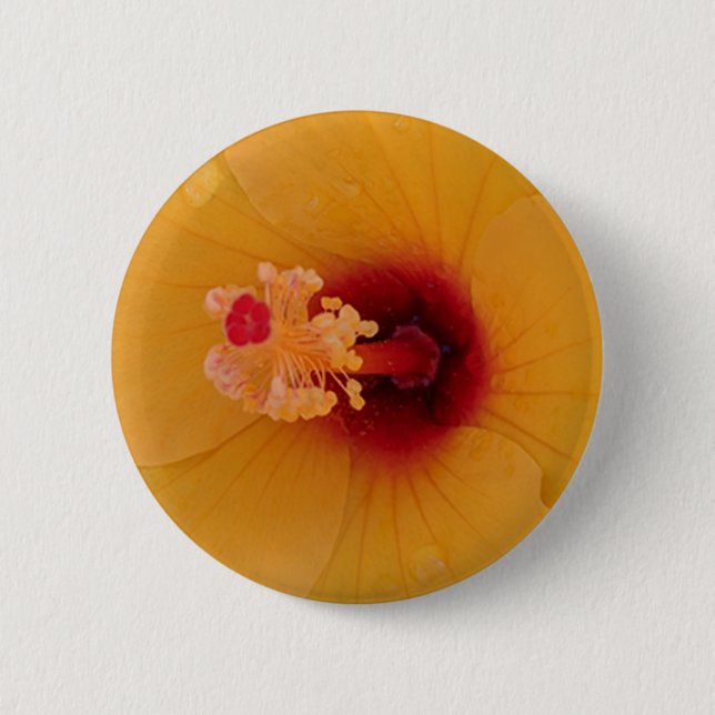 Bóton Redondo 5.08cm Hibiscus (Frente)