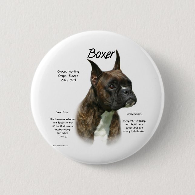 Bóton Redondo 5.08cm Histórico de Boxer do Brindle (Frente)