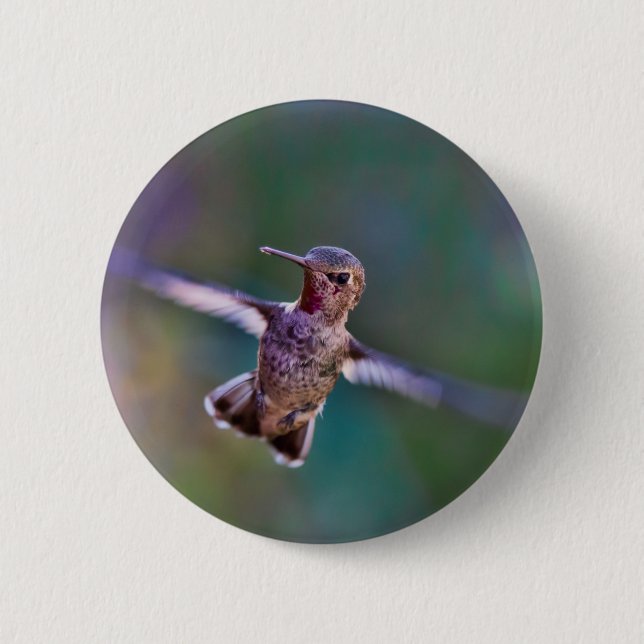 Bóton Redondo 5.08cm Hummingbird (Frente)