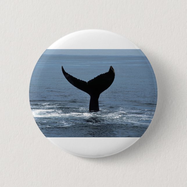 Bóton Redondo 5.08cm Humpback whale tail (Frente)